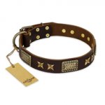 "Sparkling Bronze" FDT Artisan Genuine Leather Boxer Collar with Bronze Look Stars and Plates