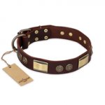 "Golden Stones" FDT Artisan Brown Leather Boxer Collar with Old Bronze Look Plates and Circles