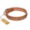 "Daily Chic" FDT Artisan Tan Leather Boxer Collar with Decorations