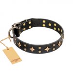 'A La Mode' FDT Artisan Handmade Black Leather Boxer Collar