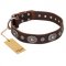 "Extra Pizzazz" FDT Artisan Adorned Brown Leather Boxer Collar