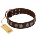 "Treasure Hunter" FDT Artisan Brown Leather Boxer Collar with Old-Bronze-like and Silvery Medallions