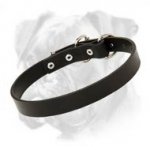 Elegant Leather Collar for Boxer - Incredibly Fashionable and Nice