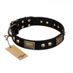 "Biker Style" FDT Artisan Black Leather Boxer Collar with Old Bronze Look Plates and Skulls