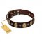 "Bronze Idol" FDT Artisan Brown Leather Boxer Collar with Eye-catching Ovals and Small Studs