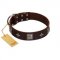 "Cold Star" Designer FDT Artisan Brown Leather Boxer Collar with Silver-Like Adornments