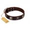 "Nut-Brown Finery" Embellished FDT Artisan Brown Leather Boxer Collar with Chrome Plated Crossbones and Plates
