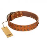 "Walk and Shine" FDT Artisan Tan Leather Boxer Collar with Antiqued Studs