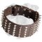 High Quality leather Boxer Collar with Nickel Pyramids and Spikes