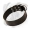 Boxer Leather Collar Riveted For Extra Durability