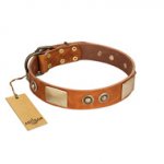 "Perfect Blend" FDT Artisan Tan Leather Boxer Collar 1 1/2 inch (40 mm) wide