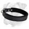Leather Collar with Thick Soft Padding for Boxer