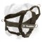Any Activity and Any Weather Light Weight Boxer Harness with ID Patches