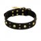 FDT Artisan 'Heavy Metal' Leather Boxer Collar with Skulls and Studs 1 1/2 inch (40 mm)