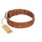 "Dreamy Gleam" FDT Artisan Tan Leather Boxer Collar Adorned with Stars and Squares