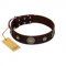 "Magic Stones" FDT Artisan Brown Leather Boxer Collar with Chrome Plated Brooches and Studs
