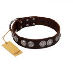 "High and Mighty" FDT Artisan Classy Brown Leather Boxer Collar with Embellished Brooches