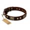 "Magic Amulet" Brown Leather Boxer Collar with Skulls and Plates