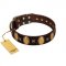 "Crystal Mirror" FDT Artisan Handmade Brown Leather Boxer Collar - 1 1/2 inch (40 mm) Wide