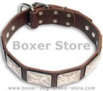 Strong and Reliable Boxer Collar with Brass Massive Plates