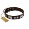 "Baller Status" FDT Artisan Brown Leather Boxer Collar Adorned with a Set of Chrome Plated Studs and Plates