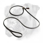 Boxer Fast Handling leash choke collar combo