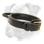 2 Ply Leather Agitation Boxer Collar with Handle