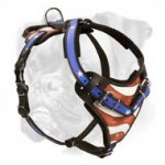 Hand Painted Leather Boxer Harness for Attack/Agitation Training