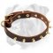 Tremendous Leather Boxer Collar with Brass Spikes for Everyday Use