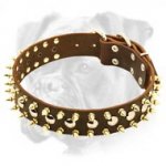 High Quality Leather Boxer Collar with Brass Spikes and Nickel Studs
