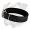 Padded Leather Dog Collar with Thick Felt - C24