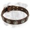 Boxer Leather Dog Collar with Curved Circles and Blue Stones