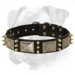 Gorgeous Leather Collar Fabulously Designed