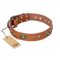 "Stunning Dress" FDT Artisan Tan Leather Boxer Collar with Old Bronze Look Plates and Studs