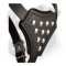 Leather Puppy Harness with Spiked Delicate Chest for Boxer