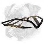 Dog weight pulling harness for Boxer