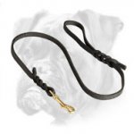 Handcrafted Braided Leather Leash for Boxer