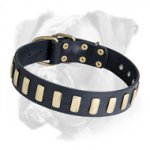 Splendid Leather Boxer Collar with Goldish Plates