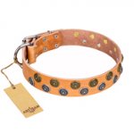 "Precious Sparkle" FDT Artisan Tan Leather Boxer Collar - 1 1/2 inch (40 mm) Wide