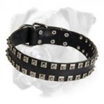 Exclusive Leather Boxer Collar with 2 Rows of Nickel Dotted Studs