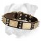 Premium Quality Leather Boxer Collar with Brass Plates and Nickel Spikes