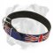 British Style Leather Boxer Collar for Walking