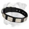 Handmade Nylon Boxer Collar with Massive Plates