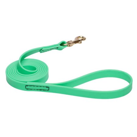 Green Waterproof Boxer Leash Made of Biothane