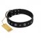 "Mr. Elegance" Designer FDT Artisan Black Leather Boxer Collar with Silver-Like Studs
