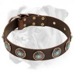Boxer Leather Dog Collar with Curved Circles and Blue Stones