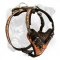 Boxer Leather Harness with Flames Painting