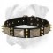 Gorgeous Leather Collar Fabulously Designed