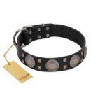 "Sun in Shining" Modern FDT Artisan Black Leather Boxer Collar with Studs and Stars