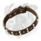Gorgeous Leather Collar with Pyramids and Studs for Training and Walking Your Boxer